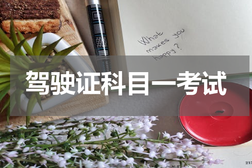 驾驶证科目一考试