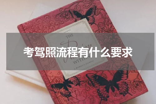 考驾照流程有什么要求