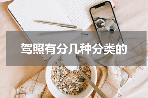 驾照有分几种分类的