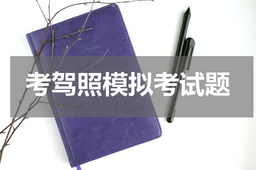 考驾照模拟考试题