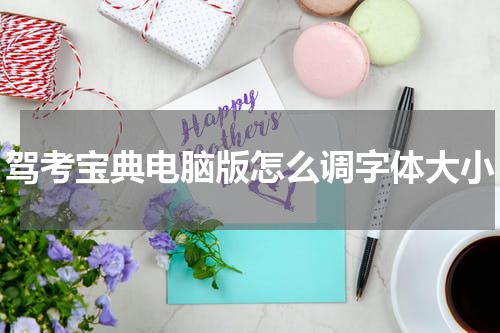 驾考宝典电脑版怎么调字体大小