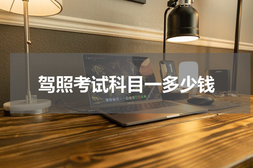 驾照考试科目一多少钱