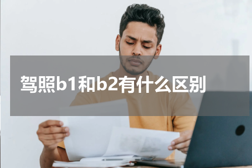 驾照b1和b2有什么区别