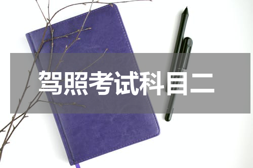 驾照考试科目二