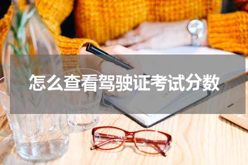 怎么查看驾驶证考试分数