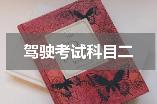 驾驶考试科目二
