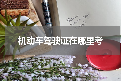 机动车驾驶证在哪里考