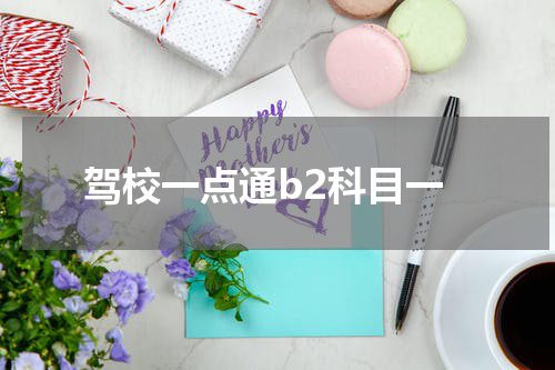 驾校一点通b2科目一