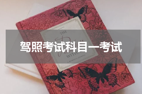驾照考试科目一考试