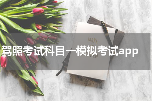 驾照考试科目一模拟考试app