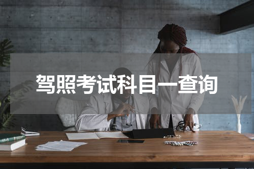 驾照考试科目一查询