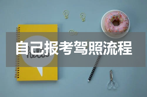 自己报考驾照流程