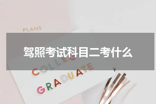 驾照考试科目二考什么