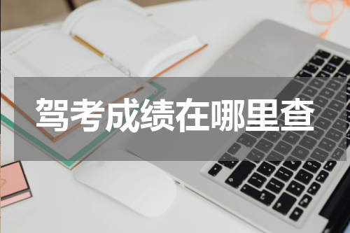 驾考成绩在哪里查