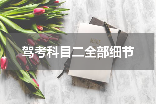 驾考科目二全部细节