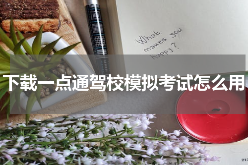 下载一点通驾校模拟考试怎么用
