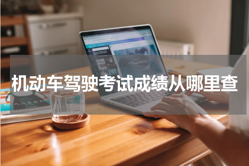 机动车驾驶考试成绩从哪里查