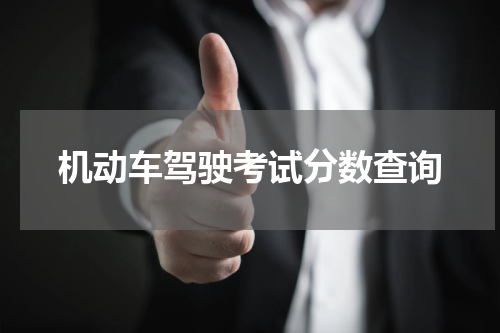 机动车驾驶考试分数查询