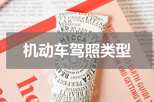机动车驾照类型