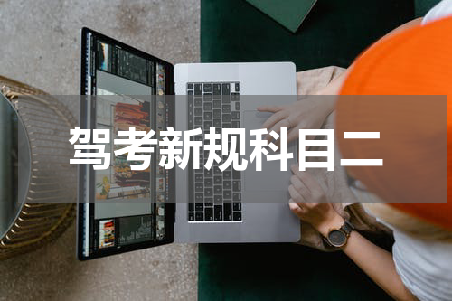 驾考新规科目二