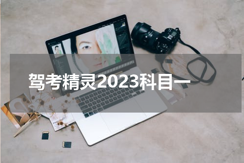 驾考精灵2023科目一