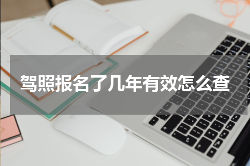 驾照报名了几年有效怎么查