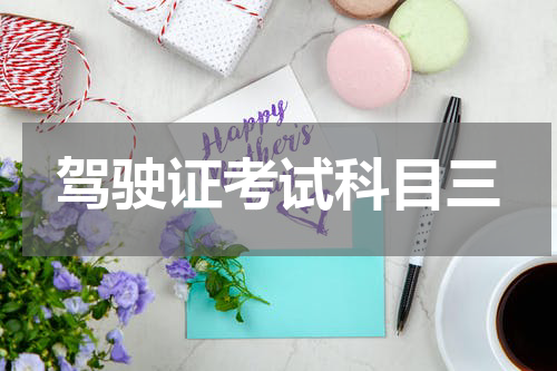 驾驶证考试科目三