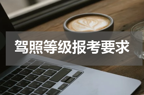 驾照等级报考要求