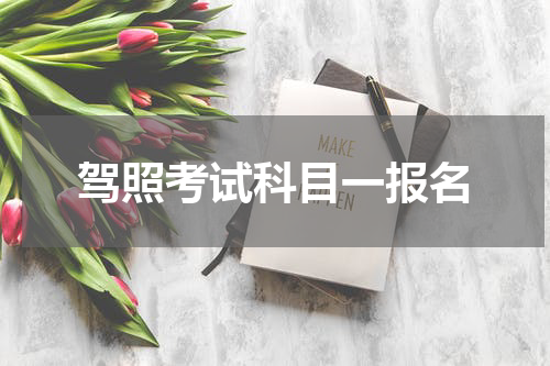 驾照考试科目一报名