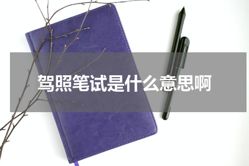驾照笔试是什么意思啊