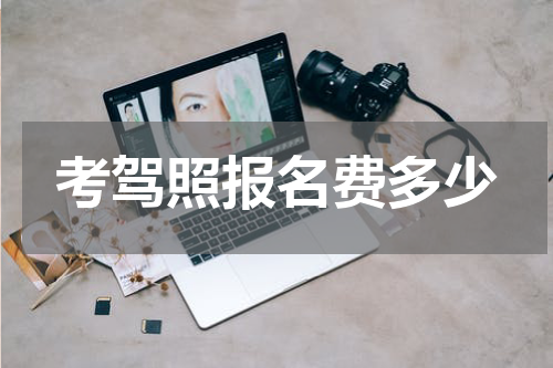 考驾照报名费多少