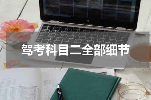 驾考科目二全部细节