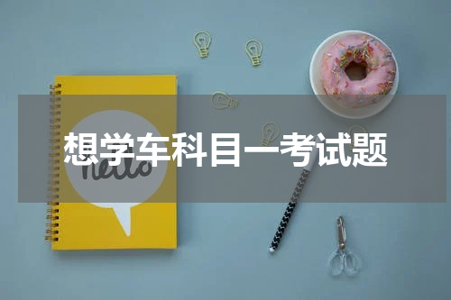 想学车科目一考试题