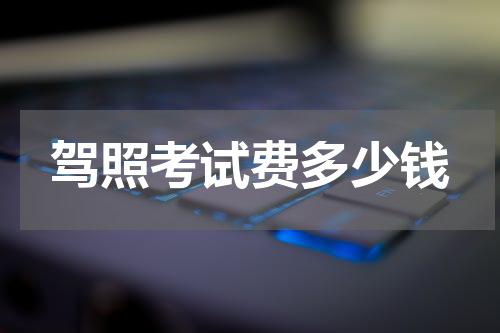 驾照考试费多少钱
