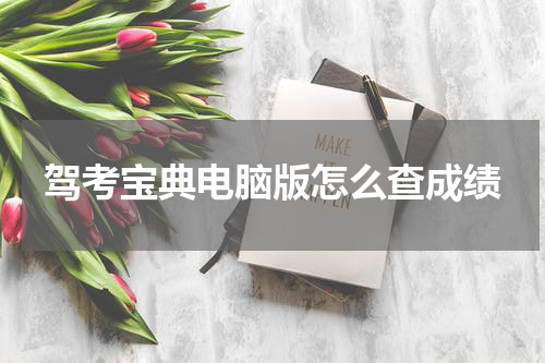 驾考宝典电脑版怎么查成绩