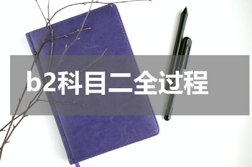 b2科目二全过程
