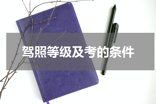 驾照等级及考的条件