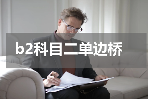 b2科目二单边桥