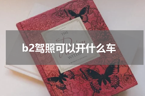 b2驾照可以开什么车