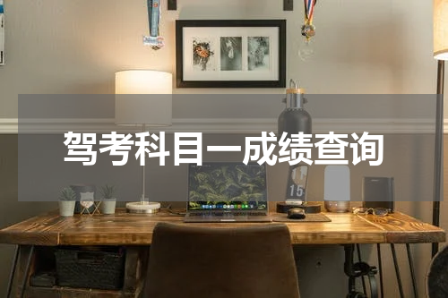 驾考科目一成绩查询