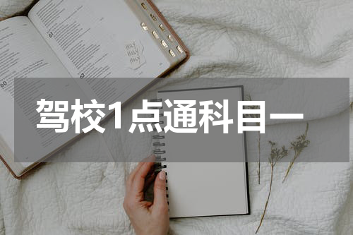 驾校1点通科目一