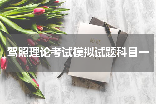 驾照理论考试模拟试题科目一