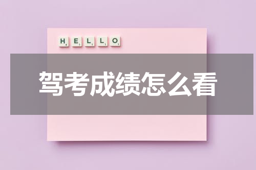 驾考成绩怎么看