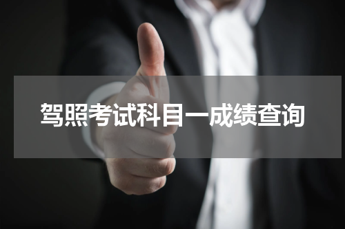 驾照考试科目一成绩查询