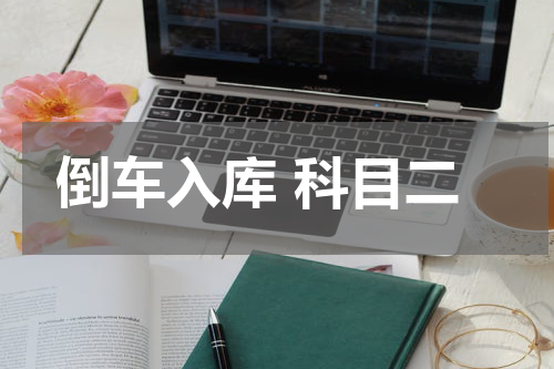 倒车入库 科目二