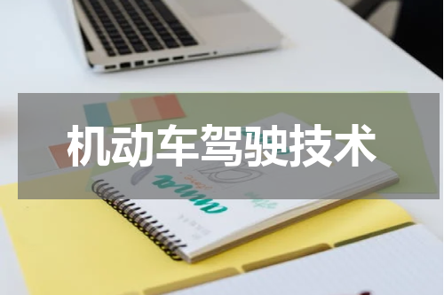 机动车驾驶技术