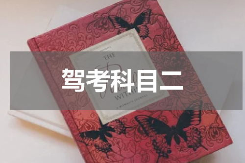 驾考科目二