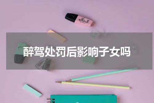 醉驾处罚后影响子女吗