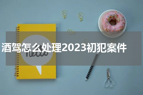 酒驾怎么处理2023初犯案件