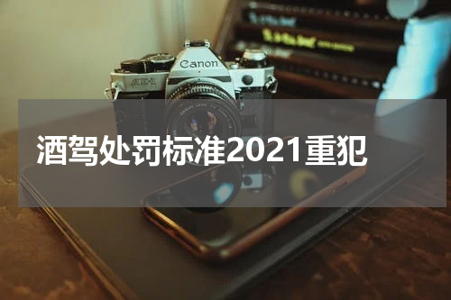 酒驾处罚标准2021重犯